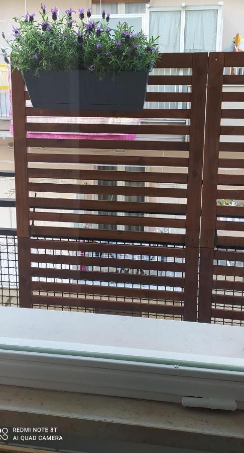 萨莱诺Viatorretta4住宿加早餐旅馆 外观 照片